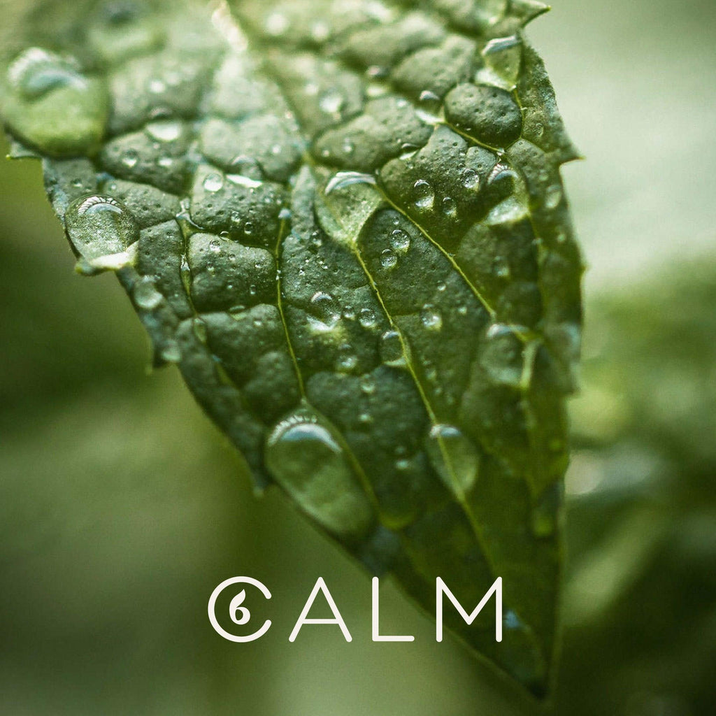 The Amazing Qualities of Organic Peppermint Essential Oil