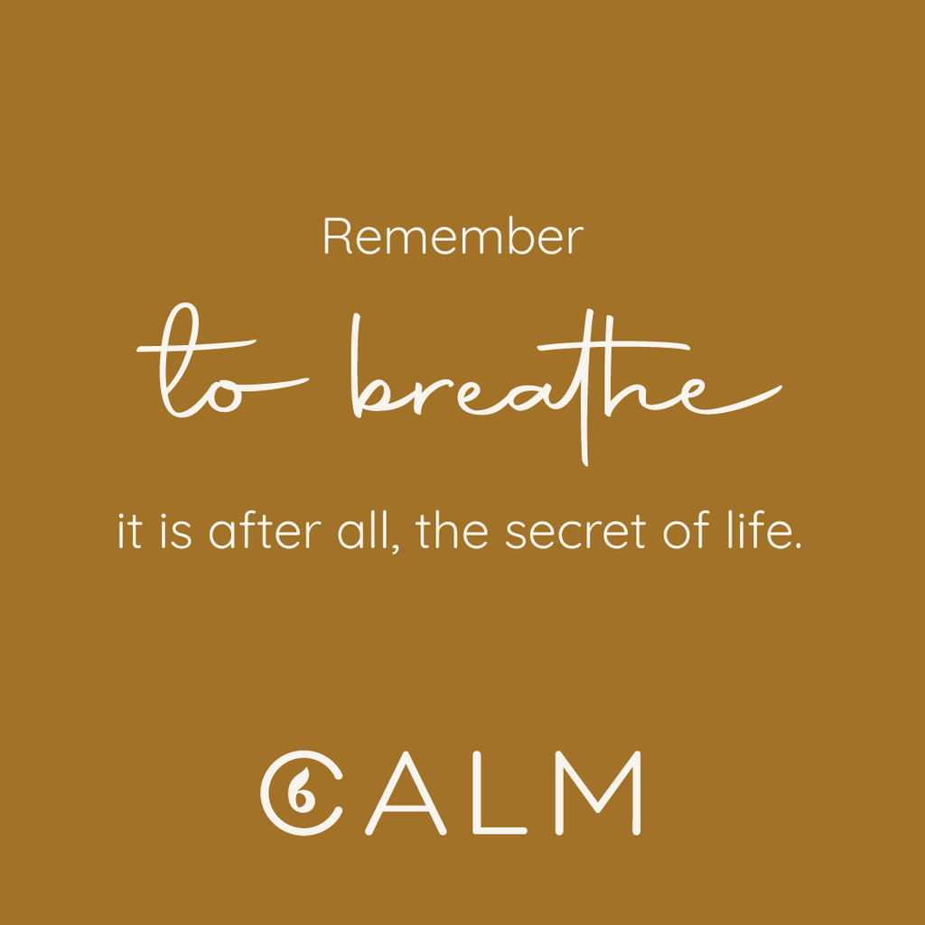 Essential Oils & Breath: Evidence-Based Holistic Stress Relief for Modern Life