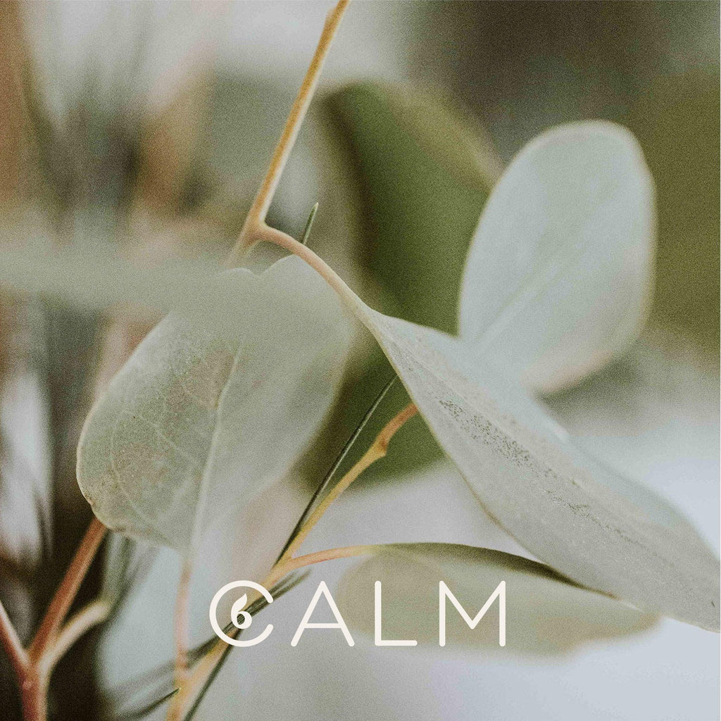 The Amazing Qualities of Eucalyptus Essential Oil