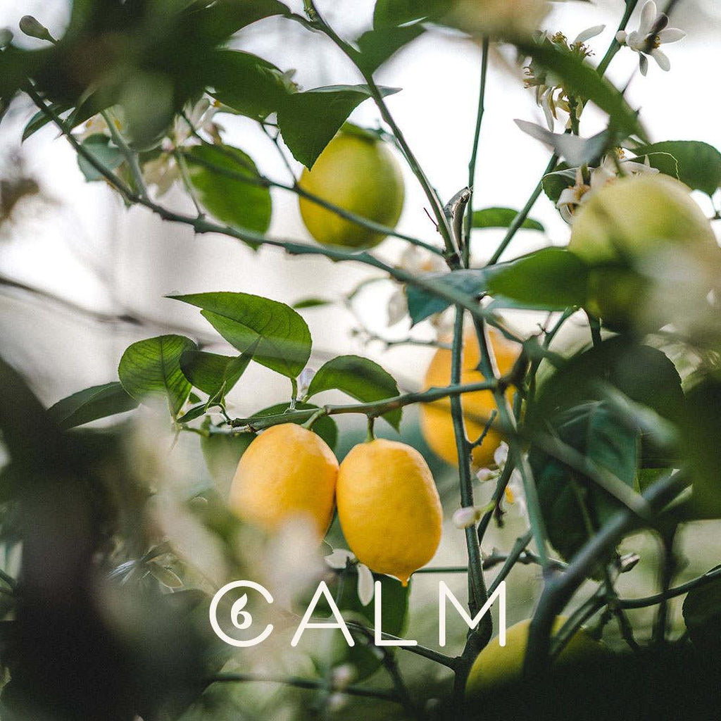 The amazing qualities of Pure Organic Lemon Essential Oil