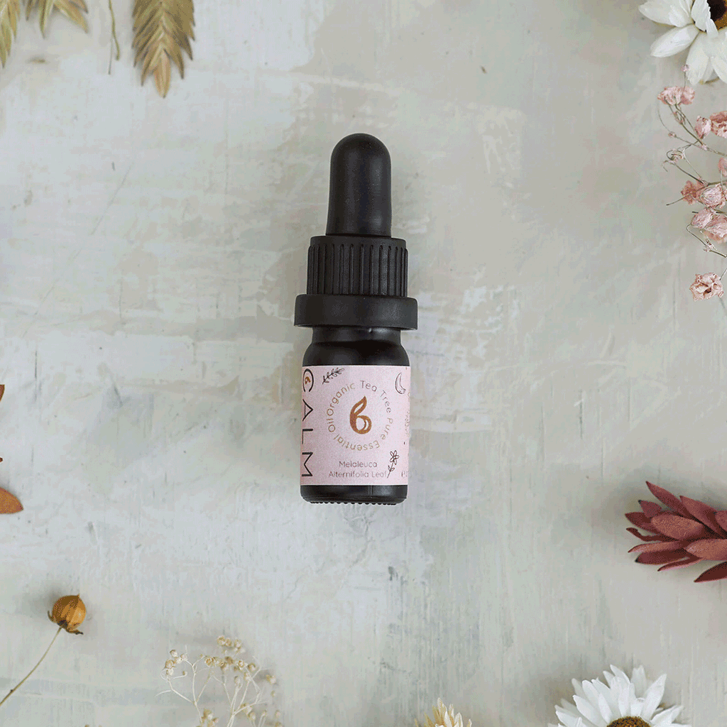 Three fragrance notes explained to help you blend you scent magic