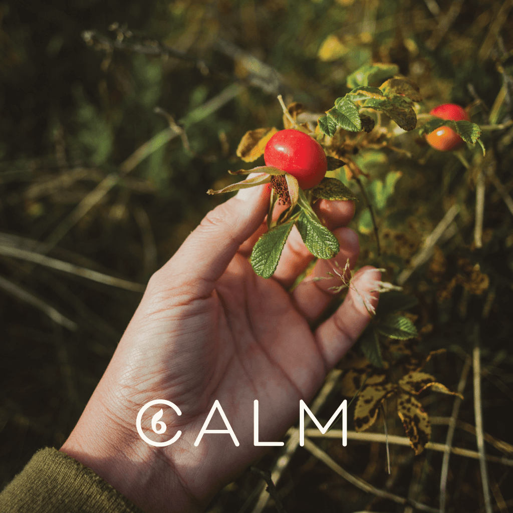 Making your own rosehip oil