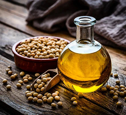 The Shocking Truth About Seed Oils | Why B Calm Carrier Oils Are Safe & Skin-Nourishing