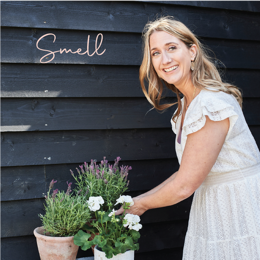 B Calm | Haze & Fae Sensory Reset Day