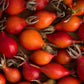 Organic Rosehip Carrier Oil 30ml – Skin Renewal